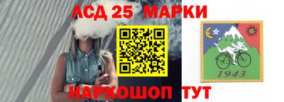 шишки Гагарин
