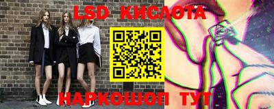 винт Гай