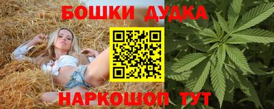 шишки Гагарин
