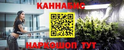 шишки Гагарин